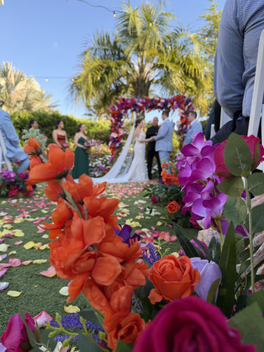 Wedding guest photo
