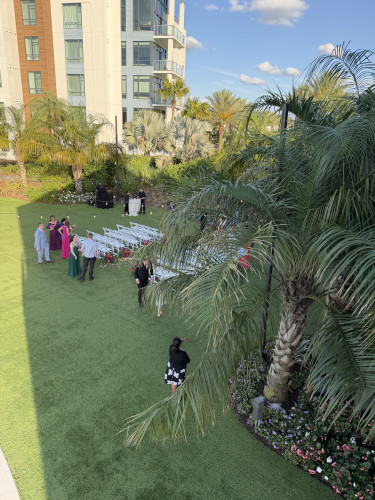 Wedding guest photo