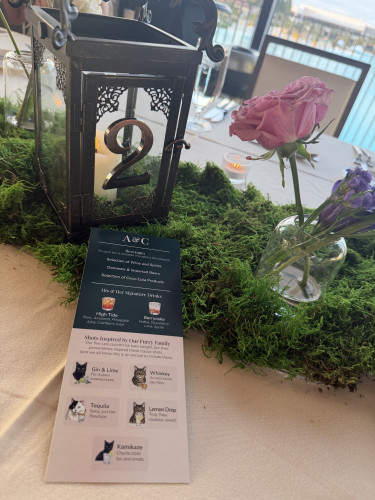 Wedding guest photo